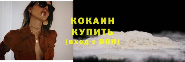 дживик Белокуриха