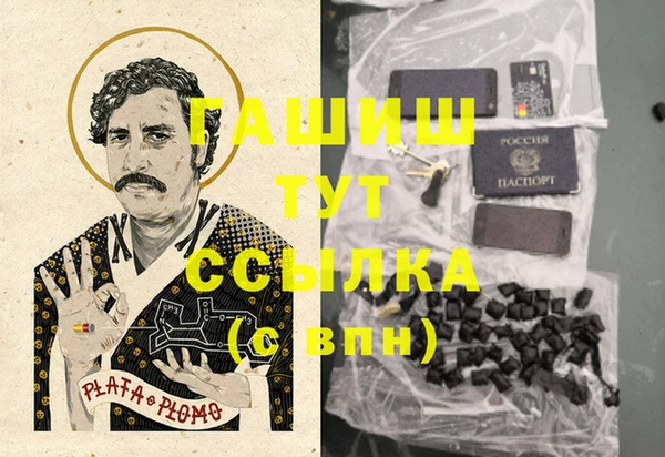 дживик Белокуриха