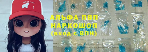дживик Белокуриха