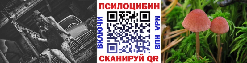Псилоцибиновые грибы Magic Shrooms  Юрьевец 
